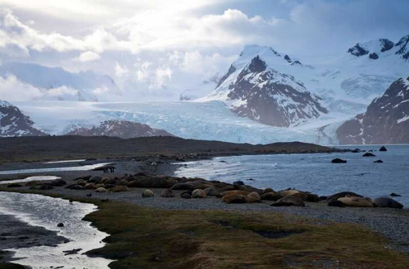 King Haakon Bay, United Kingdom